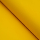Бумага цветная тишью шёлковая, 510 х 760 мм, Sadipal, 1 лист, 17 г/м2, жёлтое золото оптом