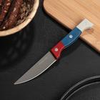 Нож кухонный «Триколор», лезвие 8,5 см оптом