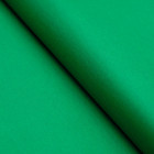 Бумага цветная тишью шёлковая, 510 х 760 мм, Sadipal, 1 лист, 17 г/м2, тёмно-зелёная оптом