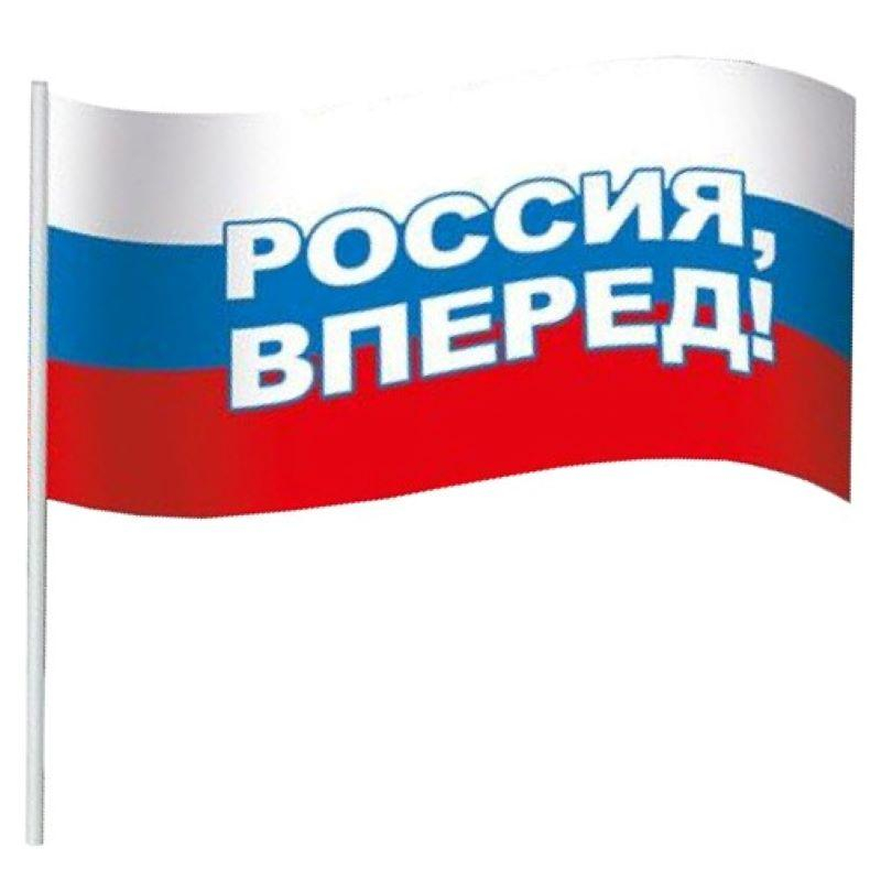 Флаг Россия вперед! 16х24 см с флагштоком оптом