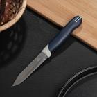 Нож кухонный Доляна «Страйп», лезвие 7,5 см оптом